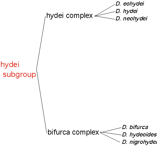 hydeisubgroup