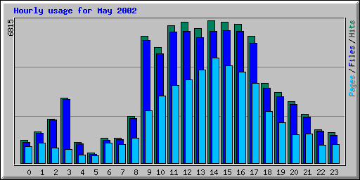 Hourly usage for May 2002